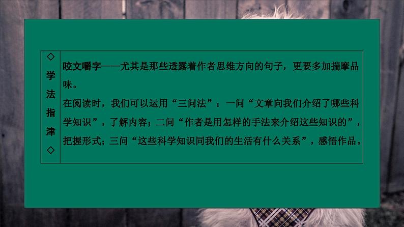 中职语文部编版2023职业教育模块第七单元《动物游戏之谜》授课课件第7页