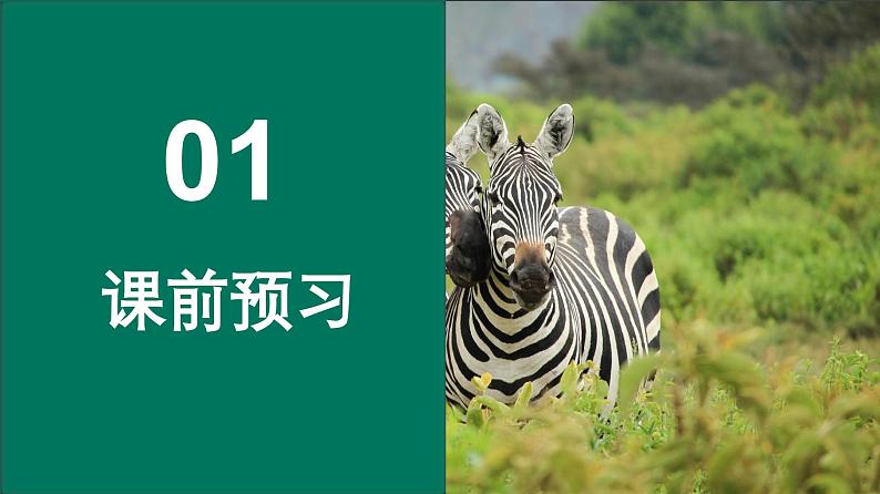 中职语文部编版2023职业教育模块第七单元《动物游戏之谜》授课课件第8页
