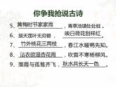 中职语文部编版2023第七单元7.1《唐宋大诗人的物候》授课课件