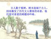 《种树郭橐驼传》课件高教版（2023）中职语文基础模块上册