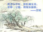《种树郭橐驼传》课件高教版（2023）中职语文基础模块上册