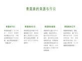 《青蒿素：人类征服疾病的一小步》屠呦呦-【中职专用】高一语文下学期同步优质课堂（高教版2023·基础模块下册）课件PPT