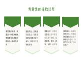 《青蒿素：人类征服疾病的一小步》屠呦呦-【中职专用】高一语文下学期同步优质课堂（高教版2023·基础模块下册）课件PPT