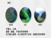 【高效課堂】中職語文高教版拓展模塊同步備課 第3課 《過萬重山漫想》-課件