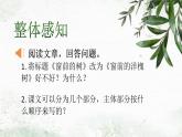 【公開課可用】中職語文高教版基礎(chǔ)模塊上冊 第8課 《窗前的樹》（課件）