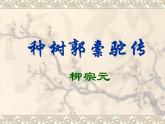 《种树郭橐驼传》课件 高教版（2023）中职语文基础模块上册