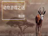 部编高教版2023+中职语文+ 职业模块动物游戏之谜-课件