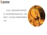 部编高教版2023+中职语文+ 职业模块动物游戏之谜-课件