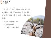 部编高教版2023+中职语文+ 职业模块动物游戏之谜-课件
