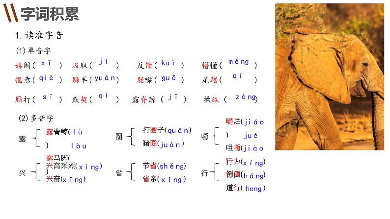 部编高教版2023+中职语文+ 职业模块动物游戏之谜-课件07