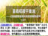 基础模块上册5-2《喜看稻菽千重浪》（ppt课件）