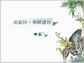 中职语文雨霖铃PPT