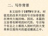 《废墟的召唤》课件_2024年