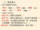 《废墟的召唤》课件_2024年
