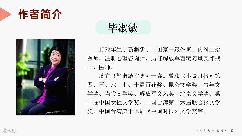 6《离太阳最近的树》课件++2023—2024学年高教版中职语文基础模块上册06