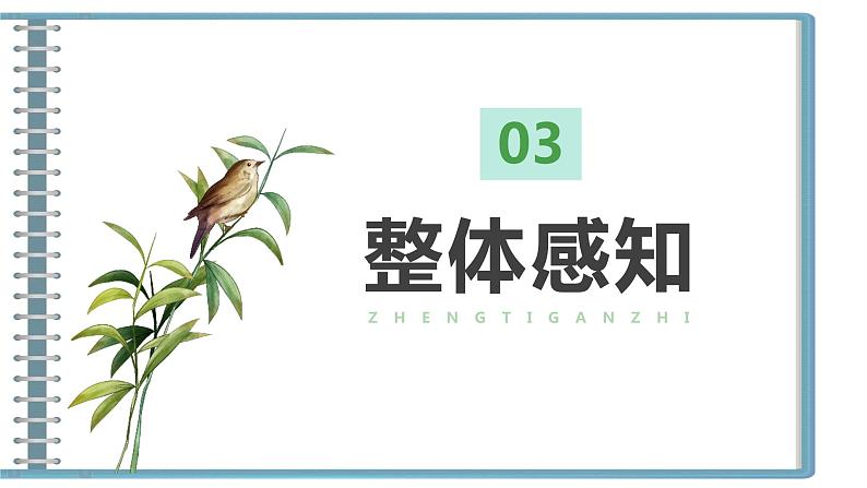 6《离太阳最近的树》课件++2023—2024学年高教版中职语文基础模块上册08