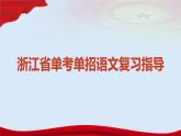 专题   文言文断句（讲）-【中职专用】备战2025年单考文化招生语文一轮复习讲练测