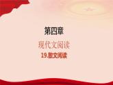 专题    散文阅读（讲）-【中职专用】备战2025年单考文化招生语文一轮复习讲练测