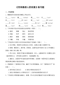 部编高教版(2023)基础模块 下册第五单元*世间最感人的坟墓精品巩固练习