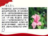 第7.1课《唐宋大诗人诗中的物候》（课件）-【中职专用】高二语文同步精品课件（高教版2023·职业模块）