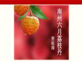 第7.2课《南州六月荔枝单》（课件）-【中职专用】高二语文同步精品课件（高教版2023·职业模块）