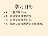 《过万重山漫想》课件