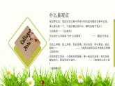 中职语文2023职业模块第六单元微写作三表达观点授课课件