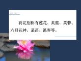 中职语文高教版-基础模块下册-第四单元-十三课-朱自清《荷塘月色》课件PPT