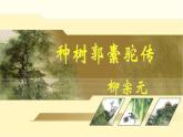 《种树郭橐驼传》：PPT课件