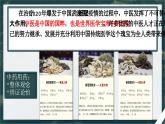 部编高教版(2023)基础模块 下册6.1《青蒿素：人类征服疾病一小步》pptx