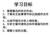 《祝福》课件(中职)