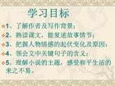 《一個人的遭遇》課件