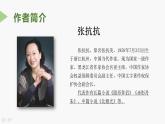 中職語文高教版基礎(chǔ)模塊上冊第二單元第八課-張抗抗《窗前的樹》課件PPT