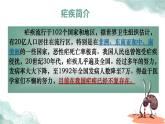 《青蒿素：人类征服疾病的一小步》ppt  中职语文