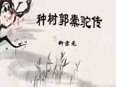 部编高教版2023 中职语文上册  第3单元 第2课版本1《种树郭橐驼传》 课件