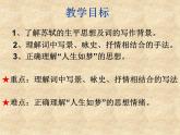 部编高教版2023 中职语文上册  第3单元 第3课《念奴娇 赤壁怀古》 课件