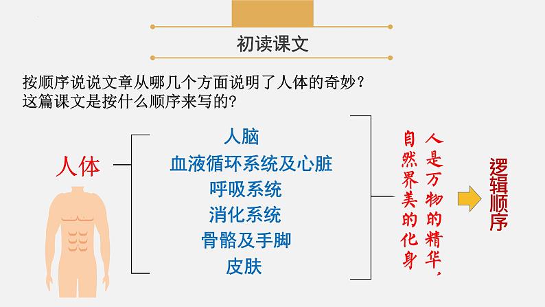 《奇妙的人体》-【中职专用】高二语文同步公开课精品讲堂（语文版·拓展模块）课件PPT07