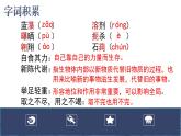 《海洋与生命》-【中职专用】高二语文同步公开课精品讲堂（语文版·拓展模块）课件PPT
