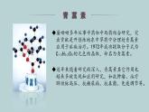 6.1《青蒿素：人类征服疾病的一小步》课件++2023—2024学年高教版（2023）中职语文基础模块下册