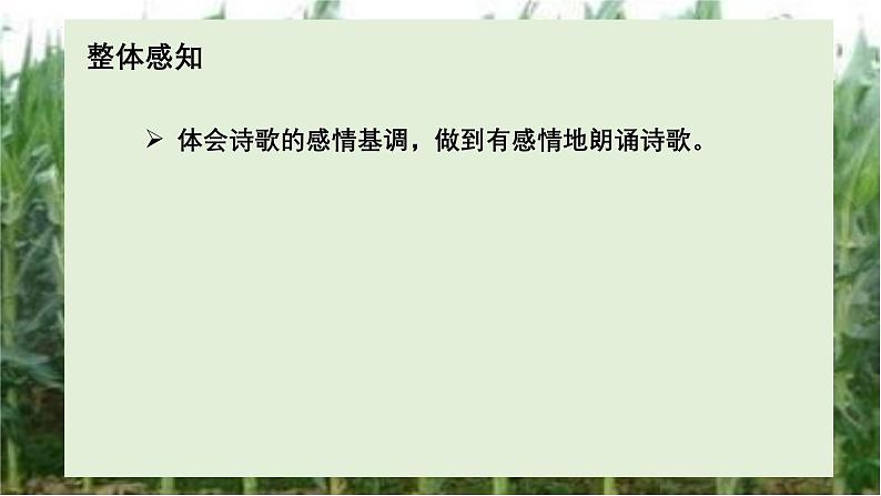 《青纱帐——甘蔗林》-【中职专用】高一语文课件（高教版2023基础模块下册）05