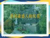 世间最感人的坟墓（同步课件）-中职高一语文下册（高教版）