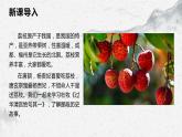 部编高教版中职语文基础模块下册《过华清宫绝句其一》课件