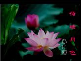 《荷塘月色》课件