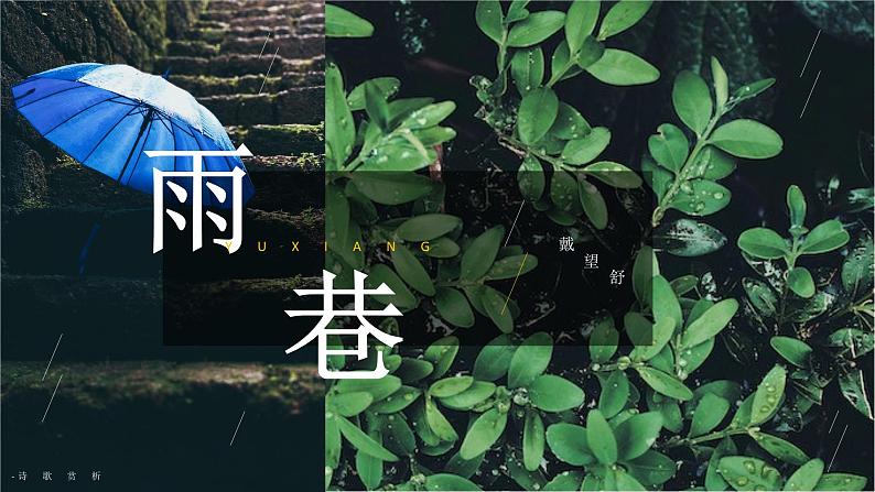 《雨巷》课件【中职专用】高一语文基础模块上册高教版2023练习题01