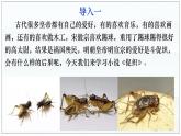 《促织》【中职专用】高一语文（高教版2023·基础模块上册）课件PPT