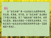 《喜看稻菽千重浪——记首届国家最高科获得者袁隆平》- 【中职专用】高一语文（高教版2023·基础模块上册）课件PPT