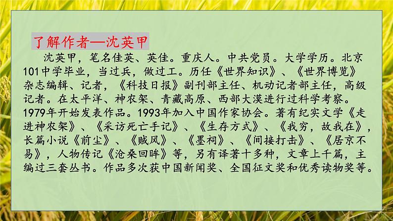 《喜看稻菽千重浪——记首届国家最高科获得者袁隆平》- 【中职专用】高一语文（高教版2023·基础模块上册）课件PPT06