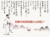 中职语文部编高教版基础模块上册第三单元《念奴娇赤壁怀古》授课课件