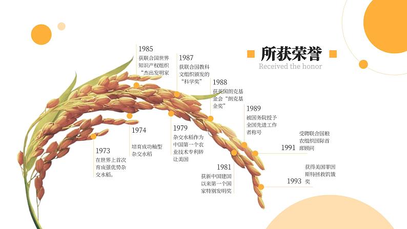 中职语文部编高教版基础模块上册第五单元《喜看稻菽千重浪》授课课件08
