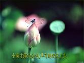 古诗词诵读《苏幕遮》课件-【中职专用】高一语文同步精品课件（高教版2023·基础模块下册）